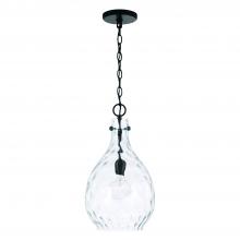 Capital Canada 349012MB - 1-Light Pendant