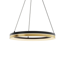 DALS PDR14-CC-BG - 14 Inch Pendant Double-Ring LED Semi-Flush